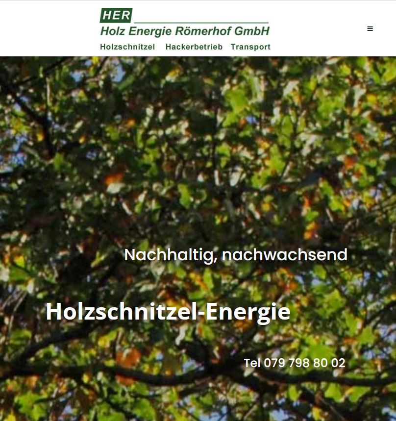 holzenergie-roemerhof.ch