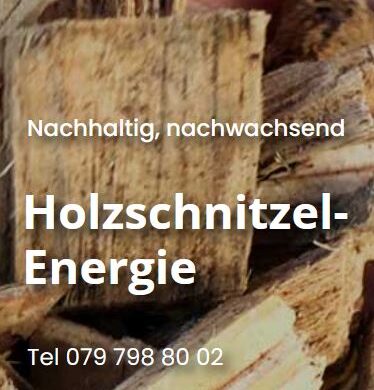 holzenergie-roemerhof.ch